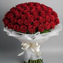 Букет 101 Красная роза Блэк Мэджик в Молоди