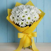 Букет цветов из:  Хризантемы в Молоди
