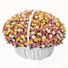 Премиум букет из: Розы в Молоди