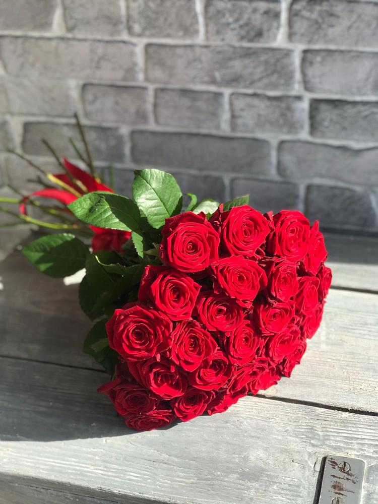 Букет Красные розы Фридом в Молоди