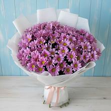 Букет цветов из:  Хризантемы в Молоди