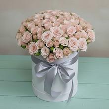 Цветочная композиция из Розы в шляпной коробке #REPLACE_PRED# Молоди