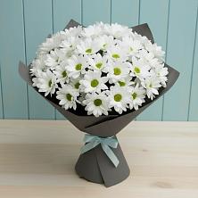 Букет цветов из:  Хризантемы в Молоди
