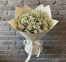 Букет цветов из:  Ромашки в Молоди