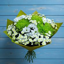 Букет цветов из:  Хризантемы в Молоди