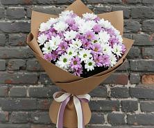 Букет цветов из:  Хризантемы в Молоди