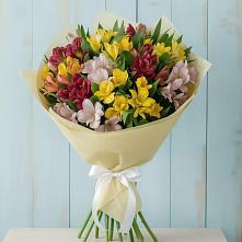 Букет цветов из:  Альстромерии #REPLACE_PRED# Молоди
