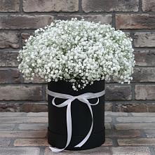Цветочная композиция из Гипсофила в шляпной коробке #REPLACE_PRED# Молоди