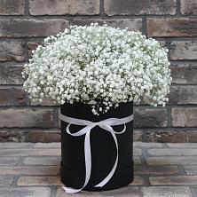 Цветочная композиция из Гипсофила в шляпной коробке в Молоди