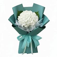 Букет цветов из:  Гортензия в Молоди